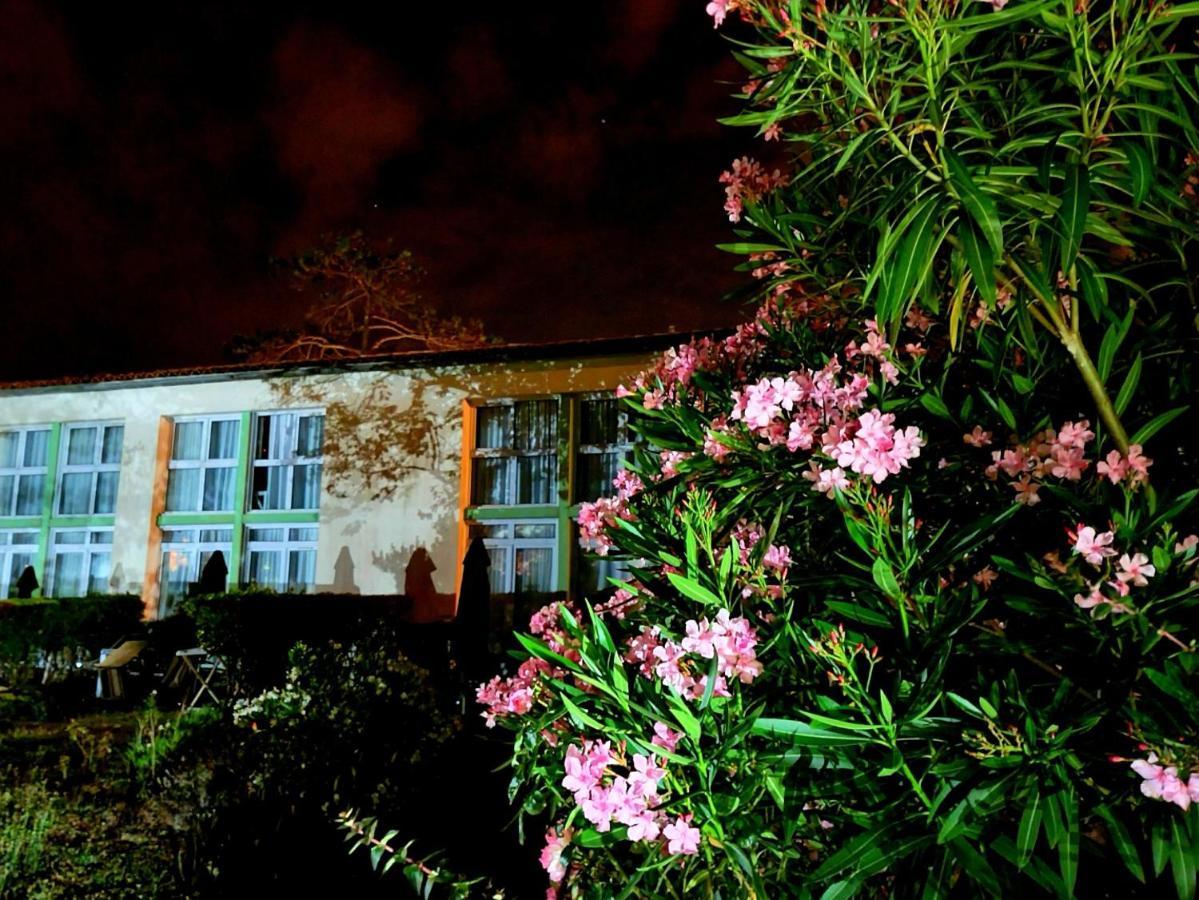 Appartement 91 Palais Des Gouverneurs Saint-Martin-de-Ré Esterno foto