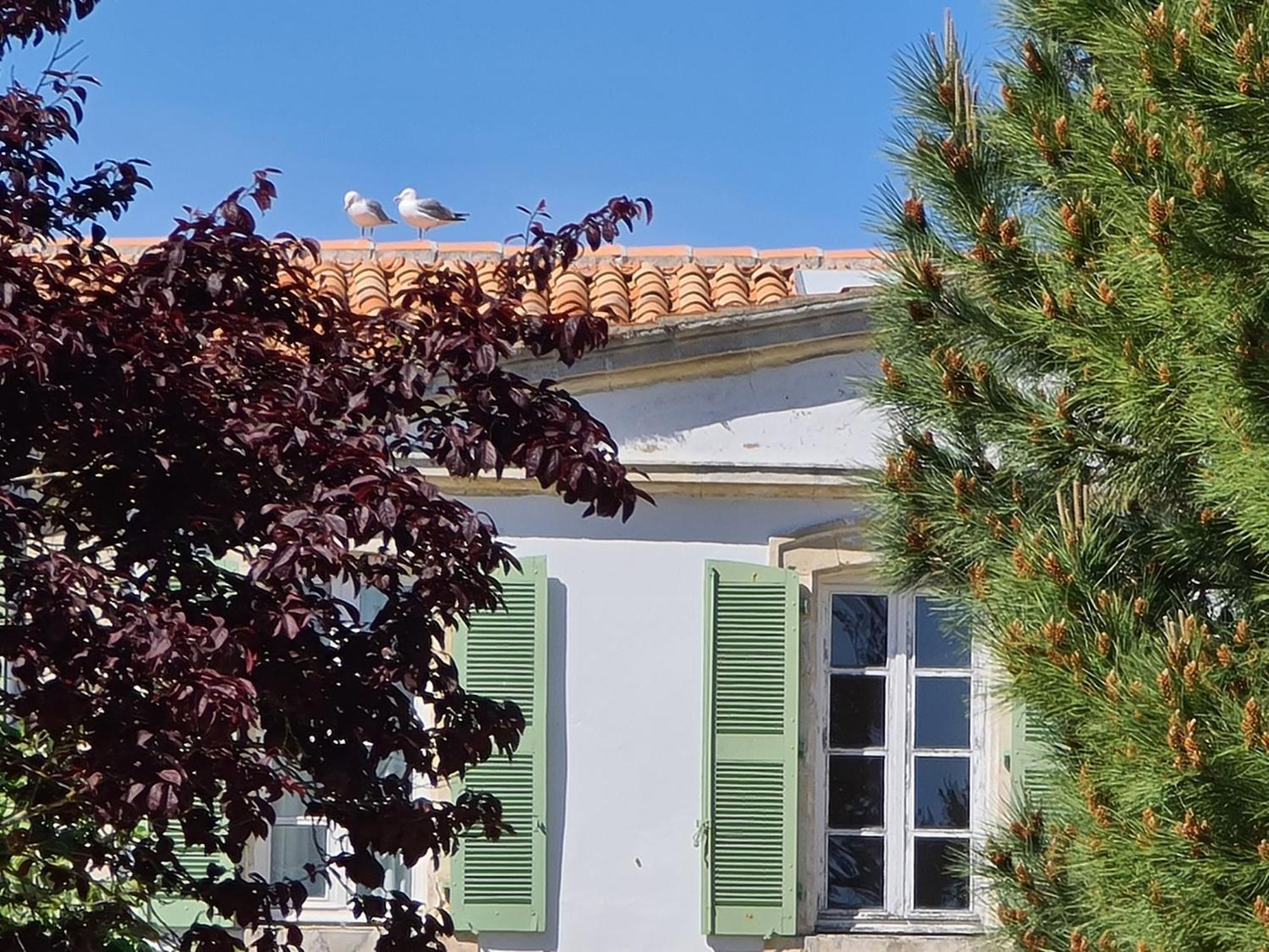 Appartement 91 Palais Des Gouverneurs Saint-Martin-de-Ré Esterno foto